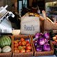 Raoul's Deli